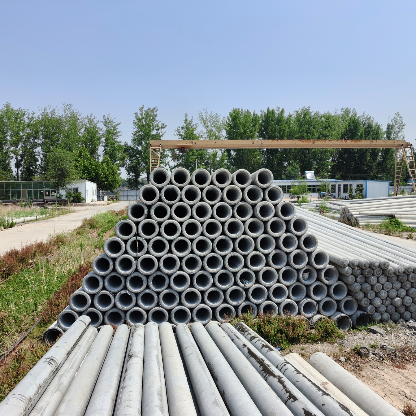 雨山190×10米水泥电线杆